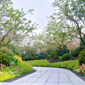 別墅庭院設(shè)計(jì)的后期如何養(yǎng)護(hù)割席断交？